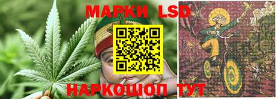 стафф Сланцы