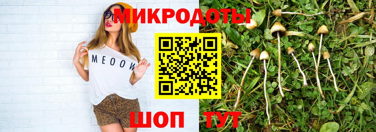 Нурлат  Галлюциногенные грибы мухоморы  Вход с VPN 